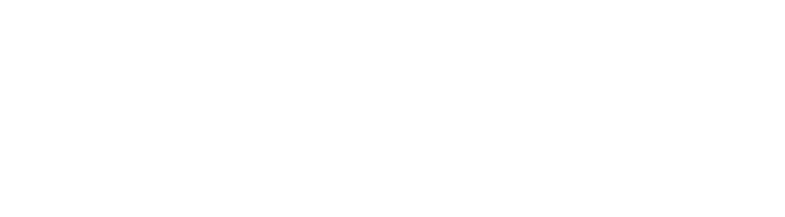 AÇOS ROMAN ® Aços Carbono Especiais SAE 52100, 6150….