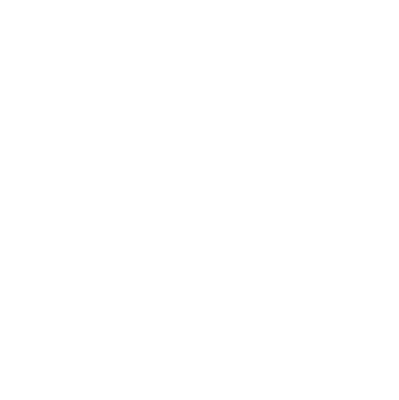 AÇOS ROMAN ® Aços Carbono Especiais SAE 52100, 6150….