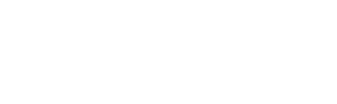 AÇOS ROMAN ® Aços Carbono Especiais SAE 52100, 6150….