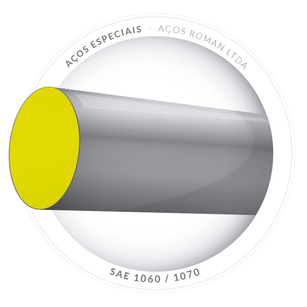 AÇOS ROMAN ® Aços Carbono Especiais SAE 52100, 6150….