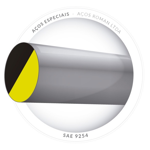 AÇOS ROMAN ® Aços Carbono Especiais SAE 52100, 6150….
