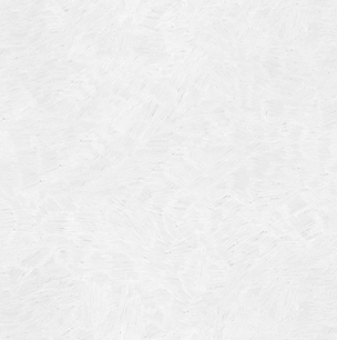 AÇOS ROMAN ® Aços Carbono Especiais SAE 52100, 6150….