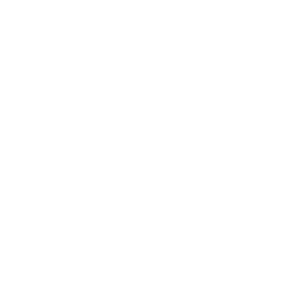 AÇOS ROMAN ® Aços Carbono Especiais SAE 52100, 6150….