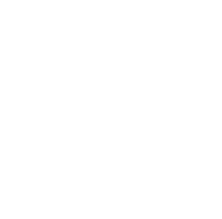 AÇOS ROMAN ® Aços Carbono Especiais SAE 52100, 6150….